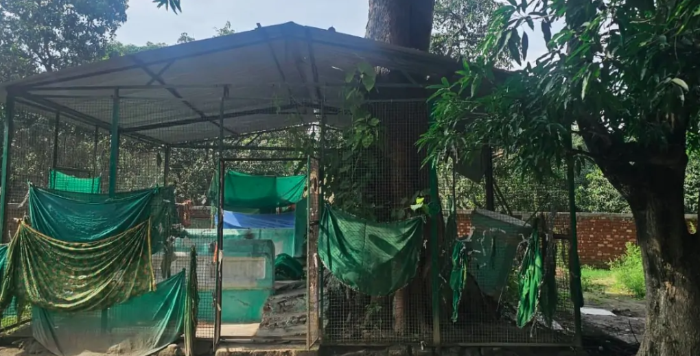 धार्मिक
